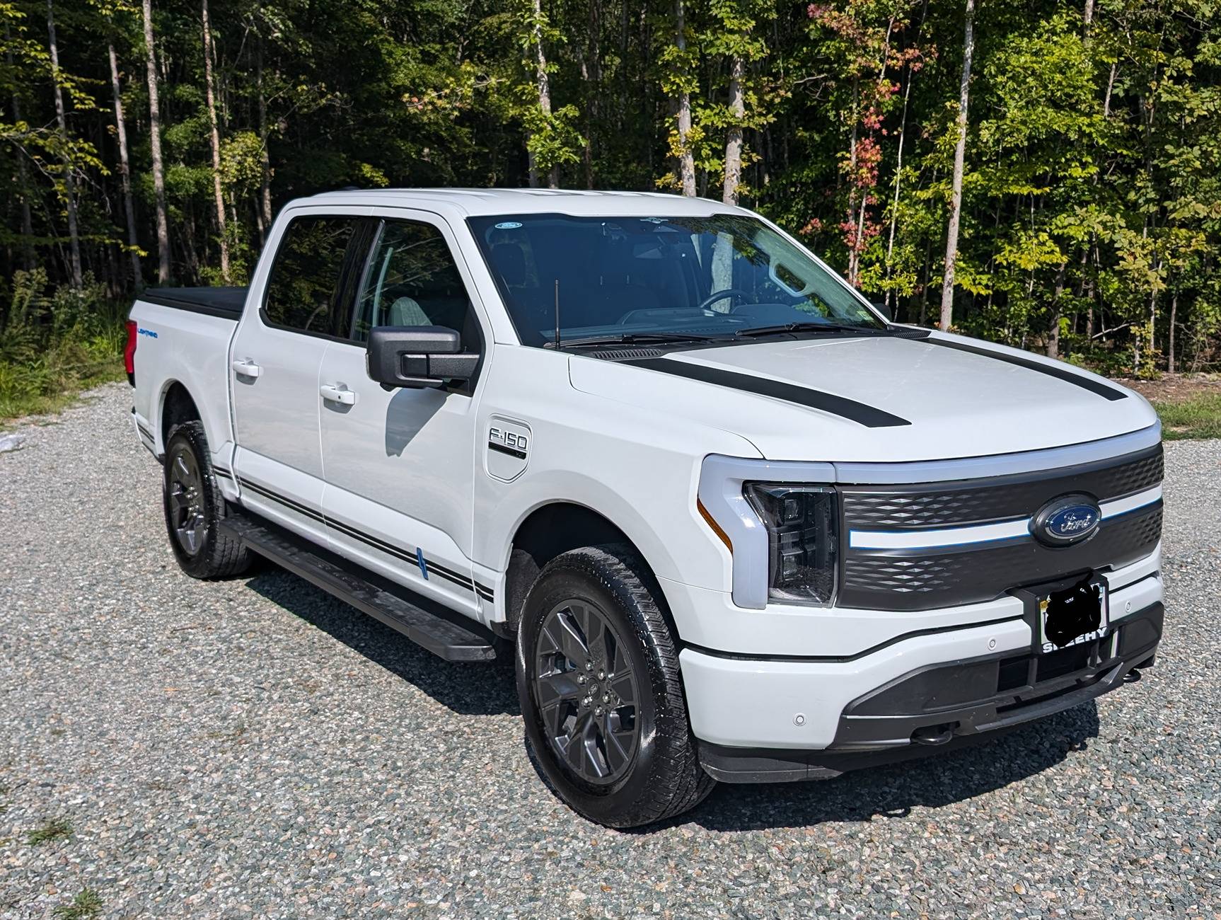 Ford F-150 Lightning OXFORD WHITE F-150 Lightning Photos & Club 1000000252