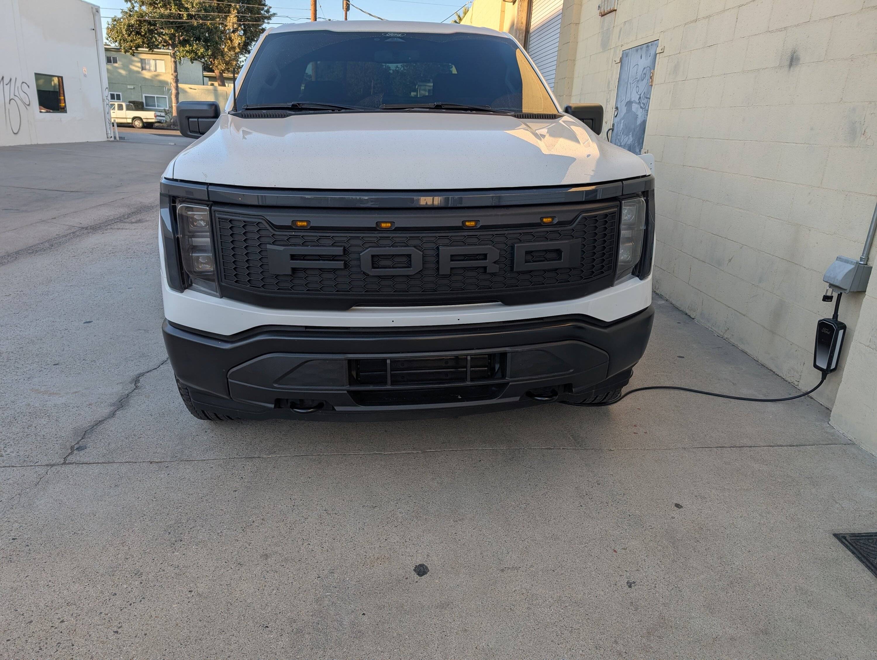 Ford F-150 Lightning Has anyone painted the Raptor Grille? 1000002317