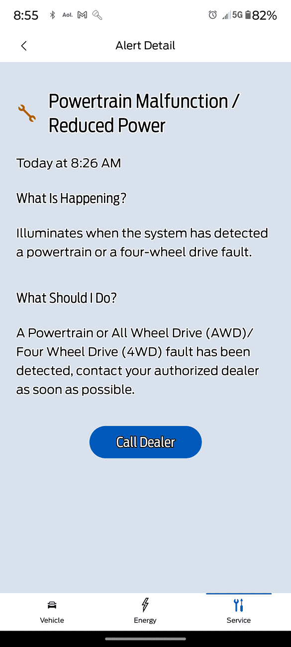 Ford F-150 Lightning Noise from shifter after shutdown 1000009766