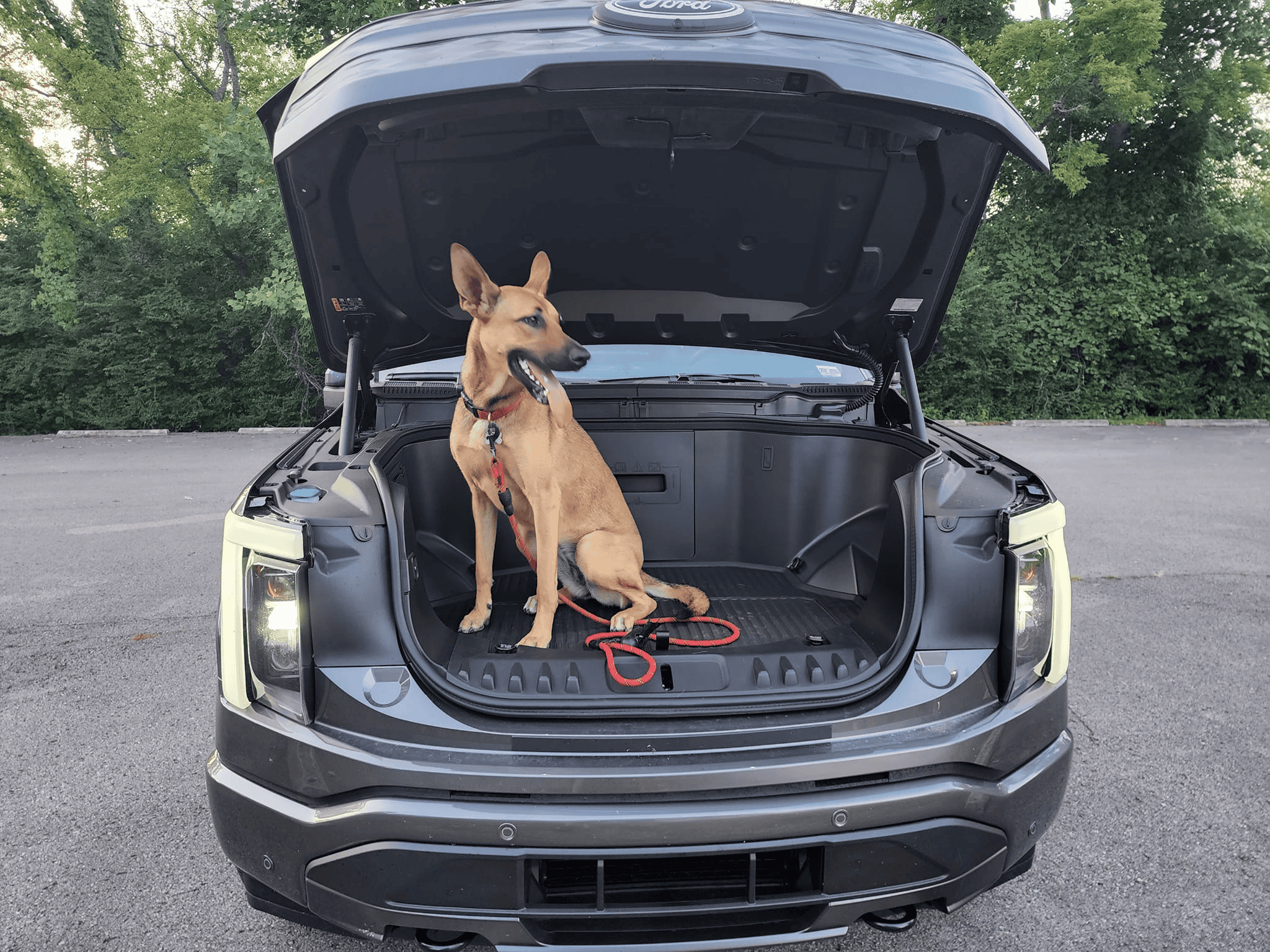Ford F-150 Lightning Post a pic of your Dog in your new Lightning 😁 1656984883178