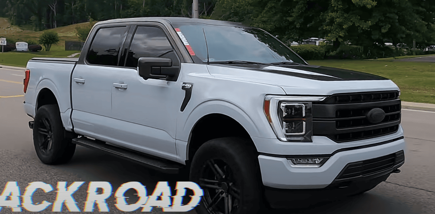 Ford F-150 Lightning Thoughts on pinstripes? 1668835848700