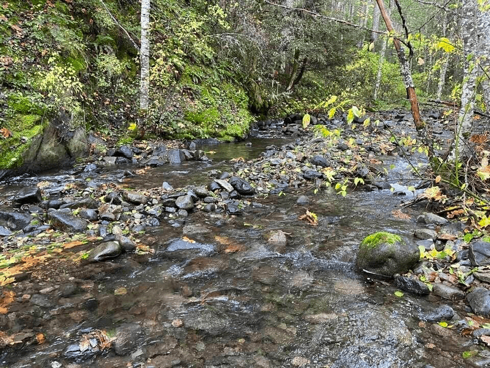 Ford F-150 Lightning Crossing the stream(s) 1701919086456