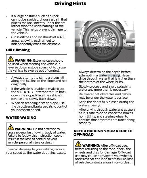 Ford F-150 Lightning Forging creeks 1708451951917