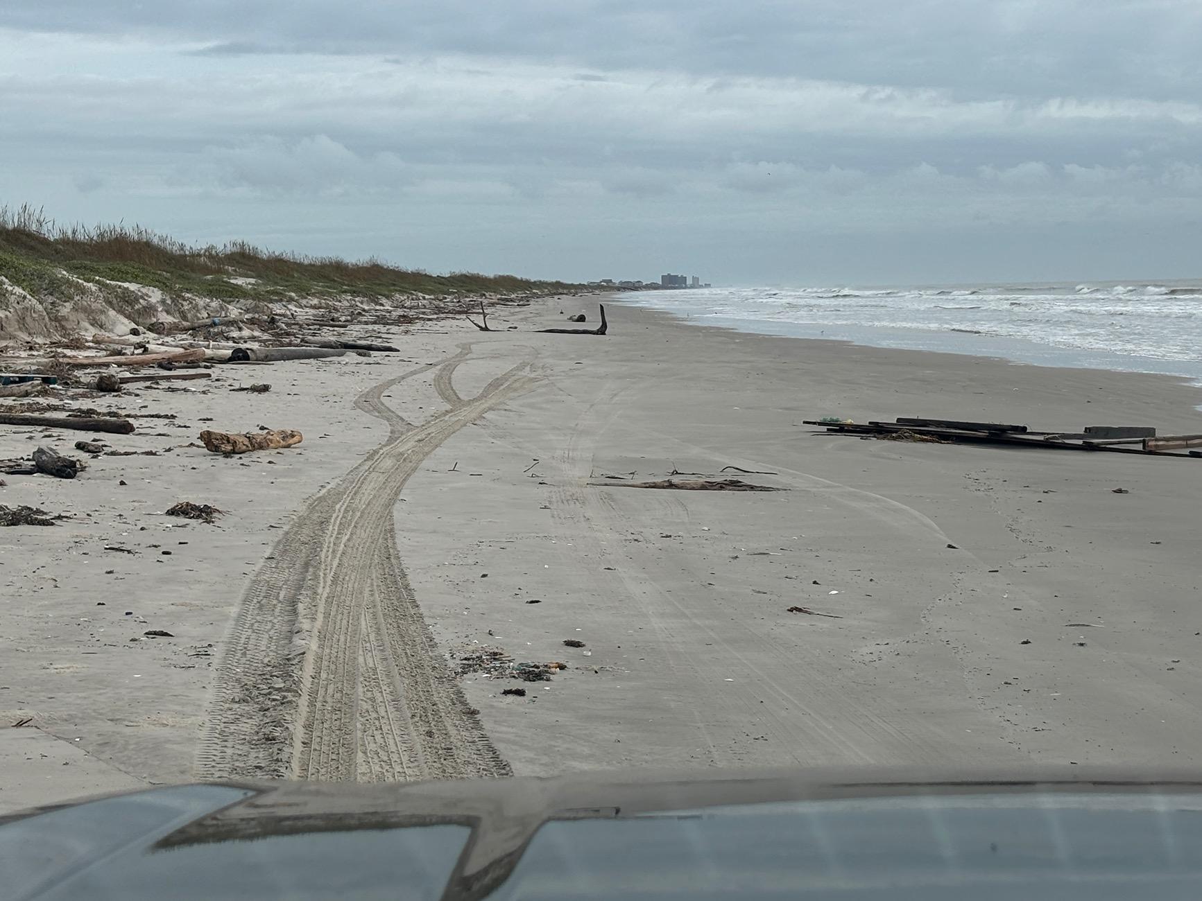 Ford F-150 Lightning Sand Driving 1720447193933-et