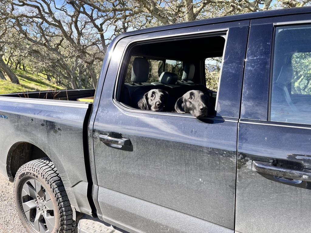 Ford F-150 Lightning Show us your copilot. 1720968428292-66