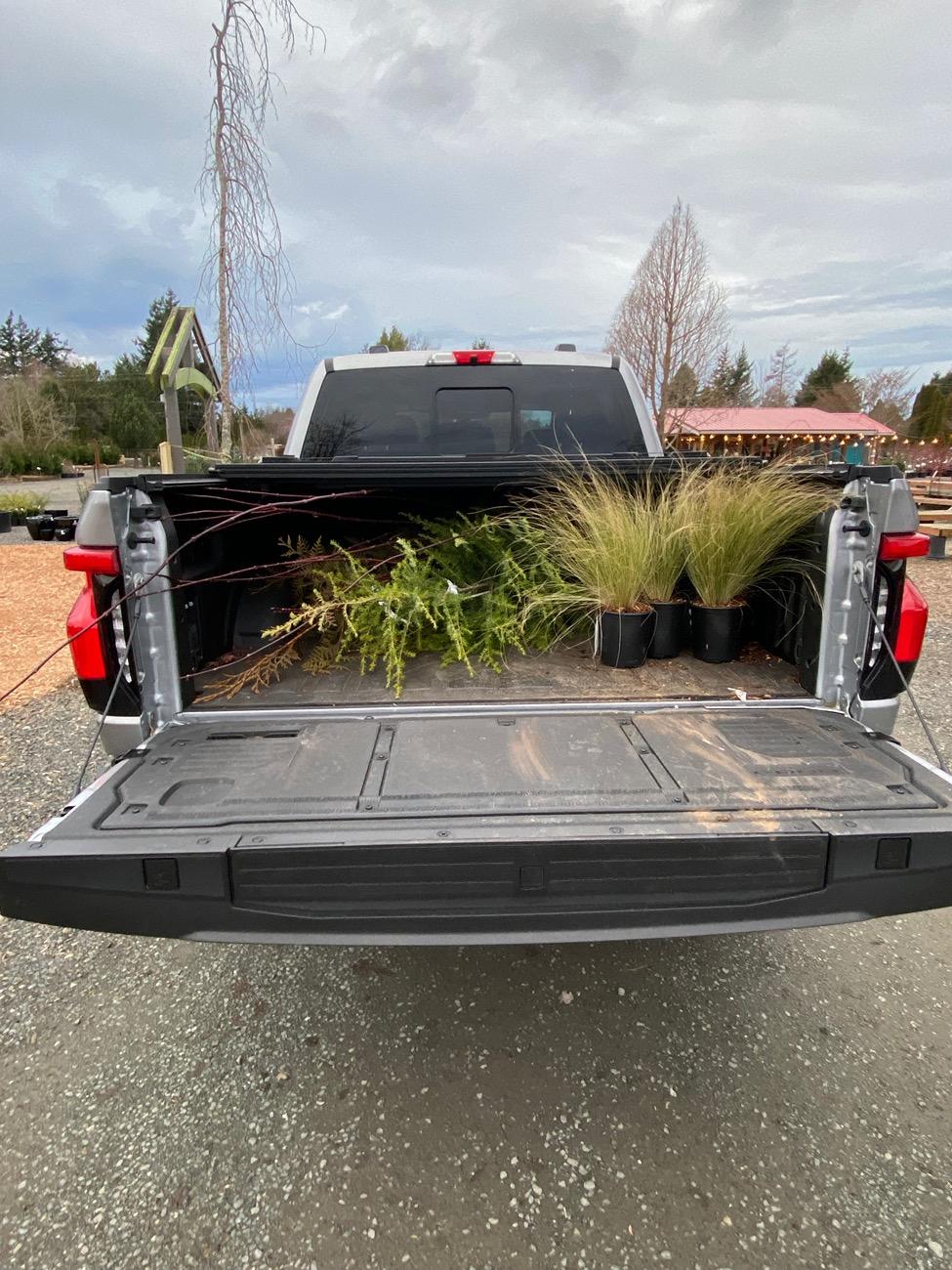 Ford F-150 Lightning Pics of Lightning Trucks Doing Truck Things. Post Yours! 📸 1721328780842-uw