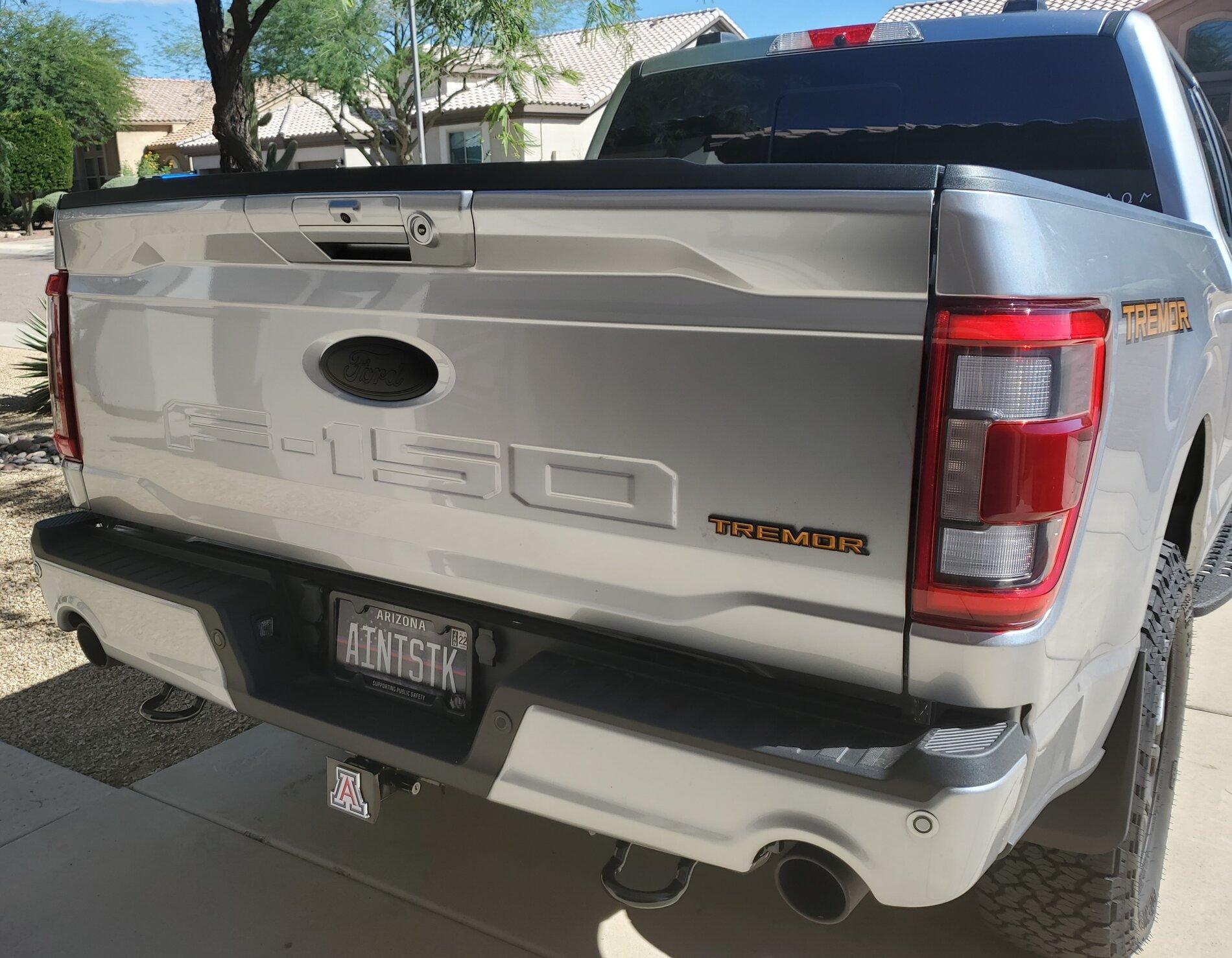 Ford F-150 Lightning Black Ford Emblems / Logos? 20211006_135651