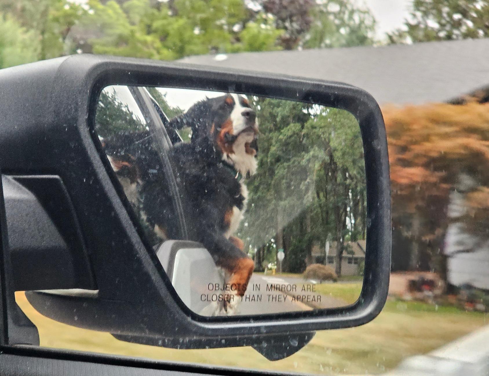 Ford F-150 Lightning Show us your copilot. 20230710_073519