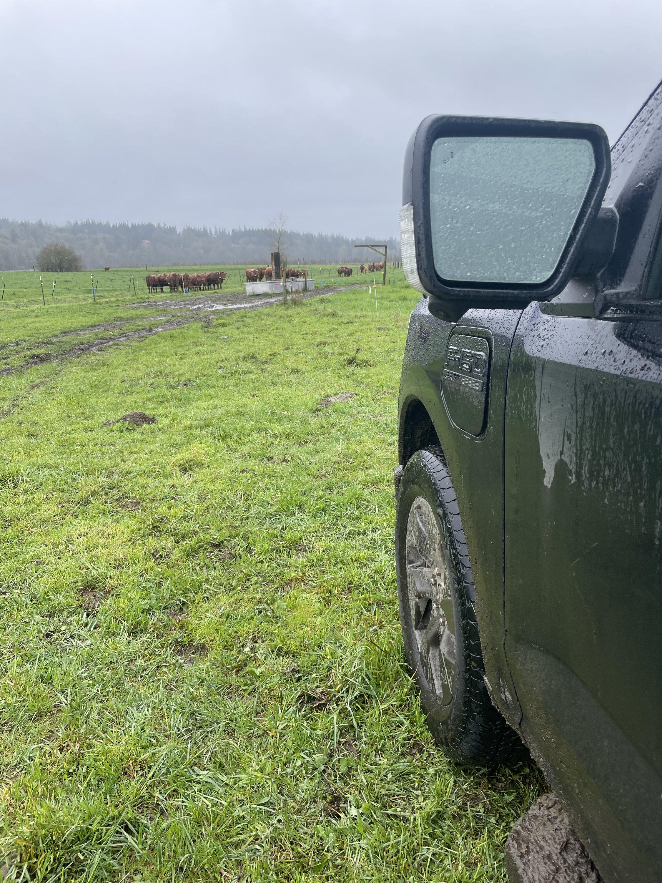 Ford F-150 Lightning Pics of Lightning Trucks Doing Truck Things. Post Yours! 📸 49390848-1D4B-41C7-B57D-359C1E150197