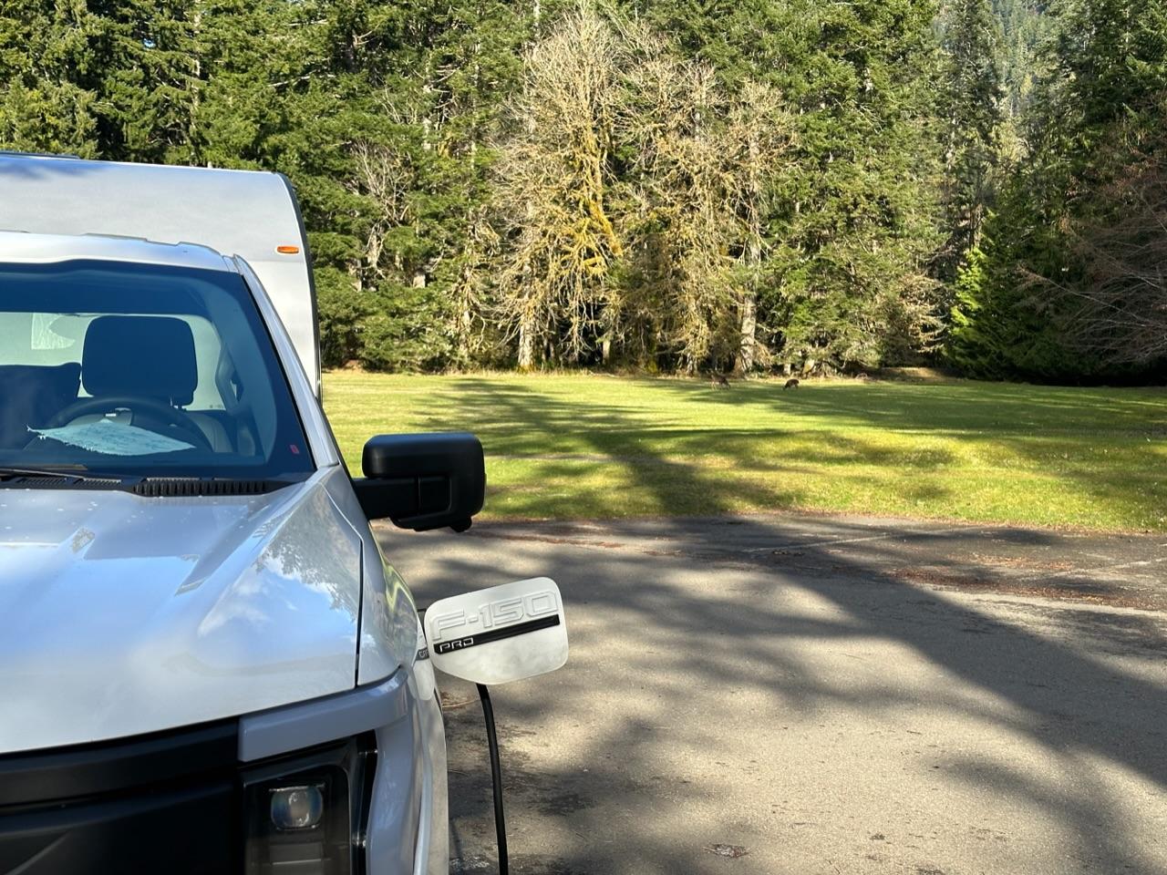 Ford F-150 Lightning Pics of Lightning Trucks Doing Truck Things. Post Yours! 📸 BA6B8DE9-0C92-4E3A-A1C9-45156C5FAC3F