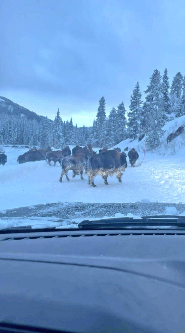 Ford F-150 Lightning Electric Winter Camping Trips in Montana. Used Rivian Charging Station buffs