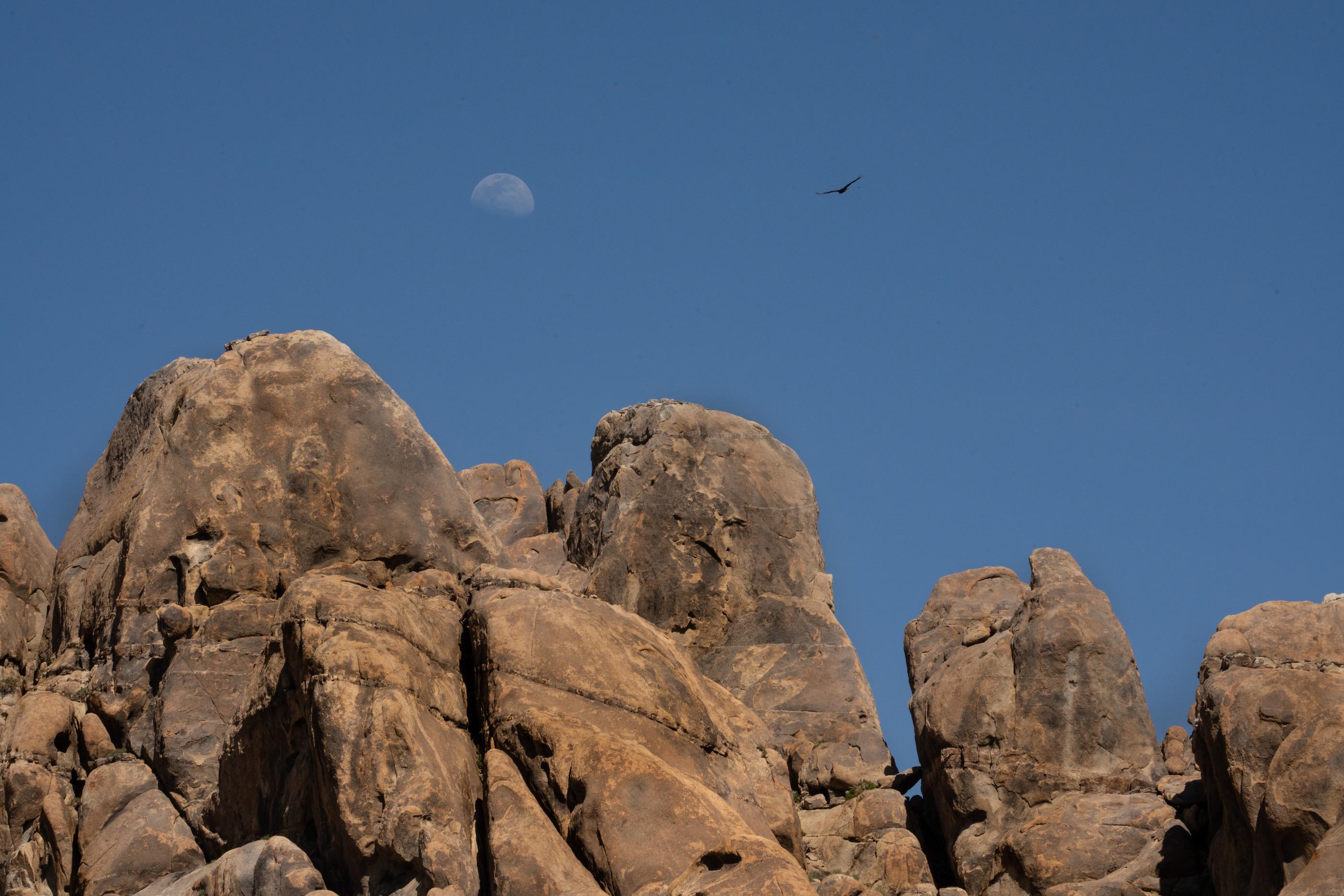 Ford F-150 Lightning Lightning meets Alabama Hills, Lone Pine California - weekend road trip C3E318DD-7001-4C2A-83D0-0DF4C8778B16