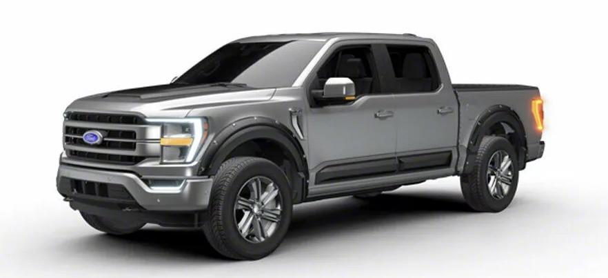 Ford F-150 Lightning Paint to match or satin black accessories D3CFD1A0-4E66-463E-A63F-1934A42F3E2E