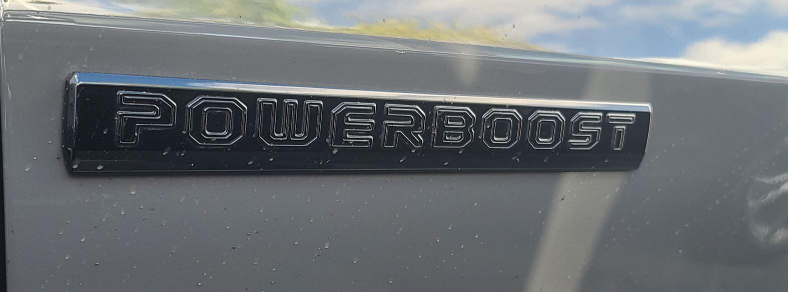 Ford F-150 Lightning Thinking about removing the Powerboost emblems Emblems.JPG