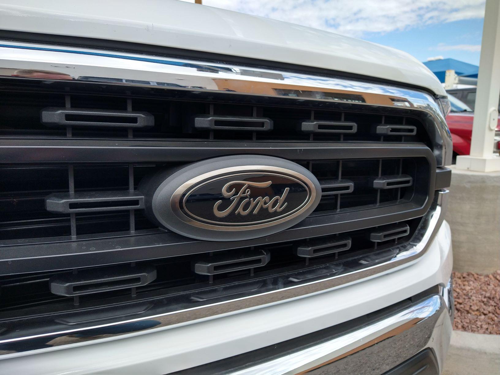 Ford F-150 Lightning Fender Badges - anyone changed theirs? F150