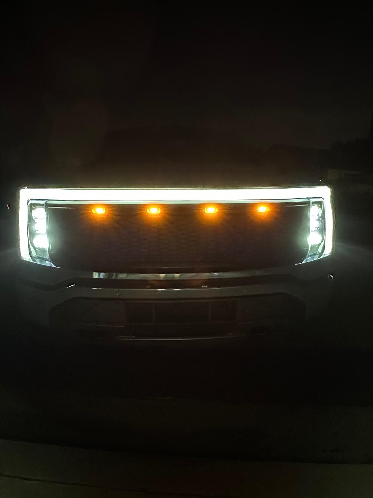 Ford F-150 Lightning Raptor Style Grill & Lights Swap + Lower Grill Insert IMG_0150