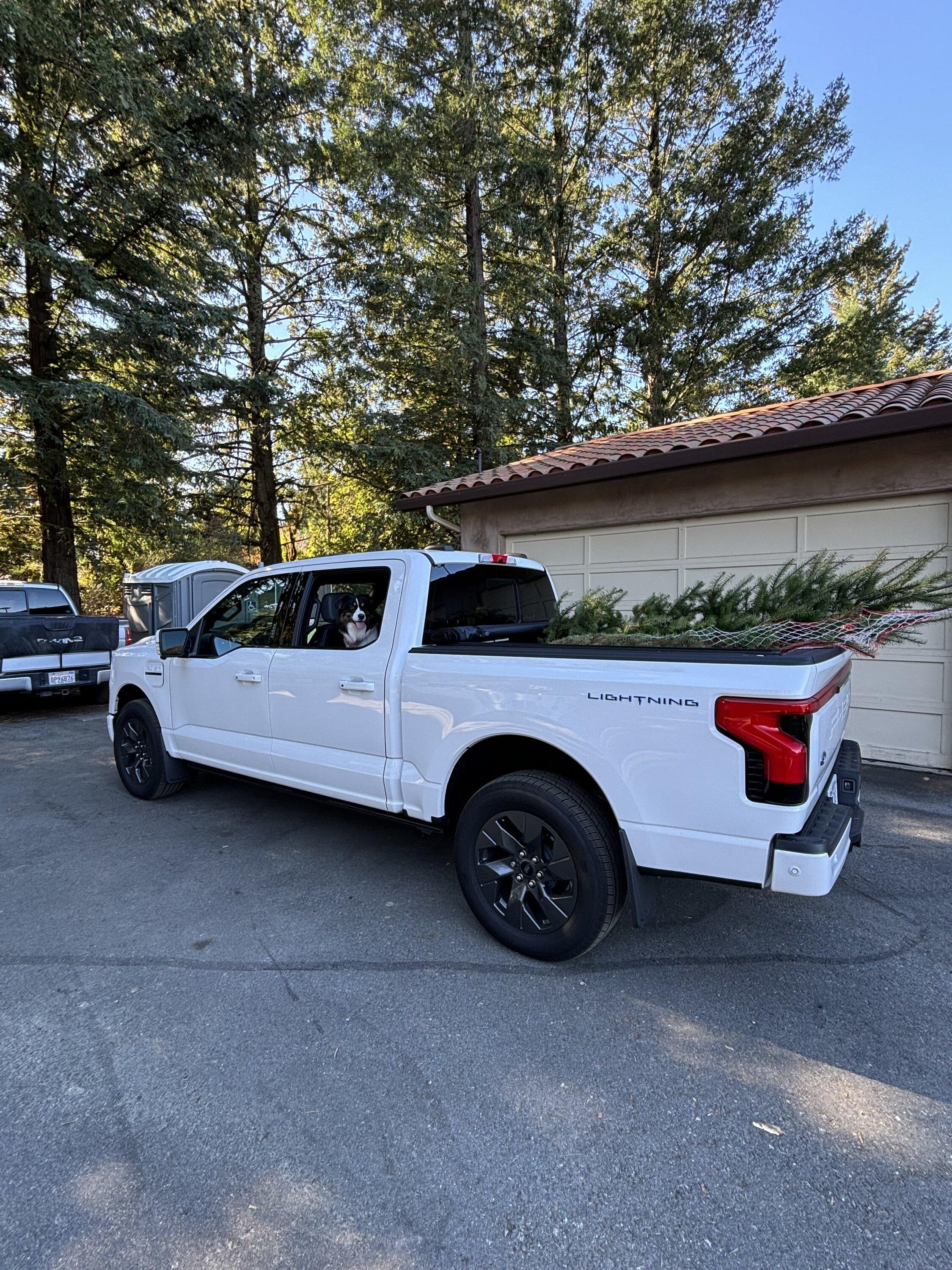 Ford F-150 Lightning Pics of Lightning Trucks Doing Truck Things. Post Yours! 📸 IMG_0315