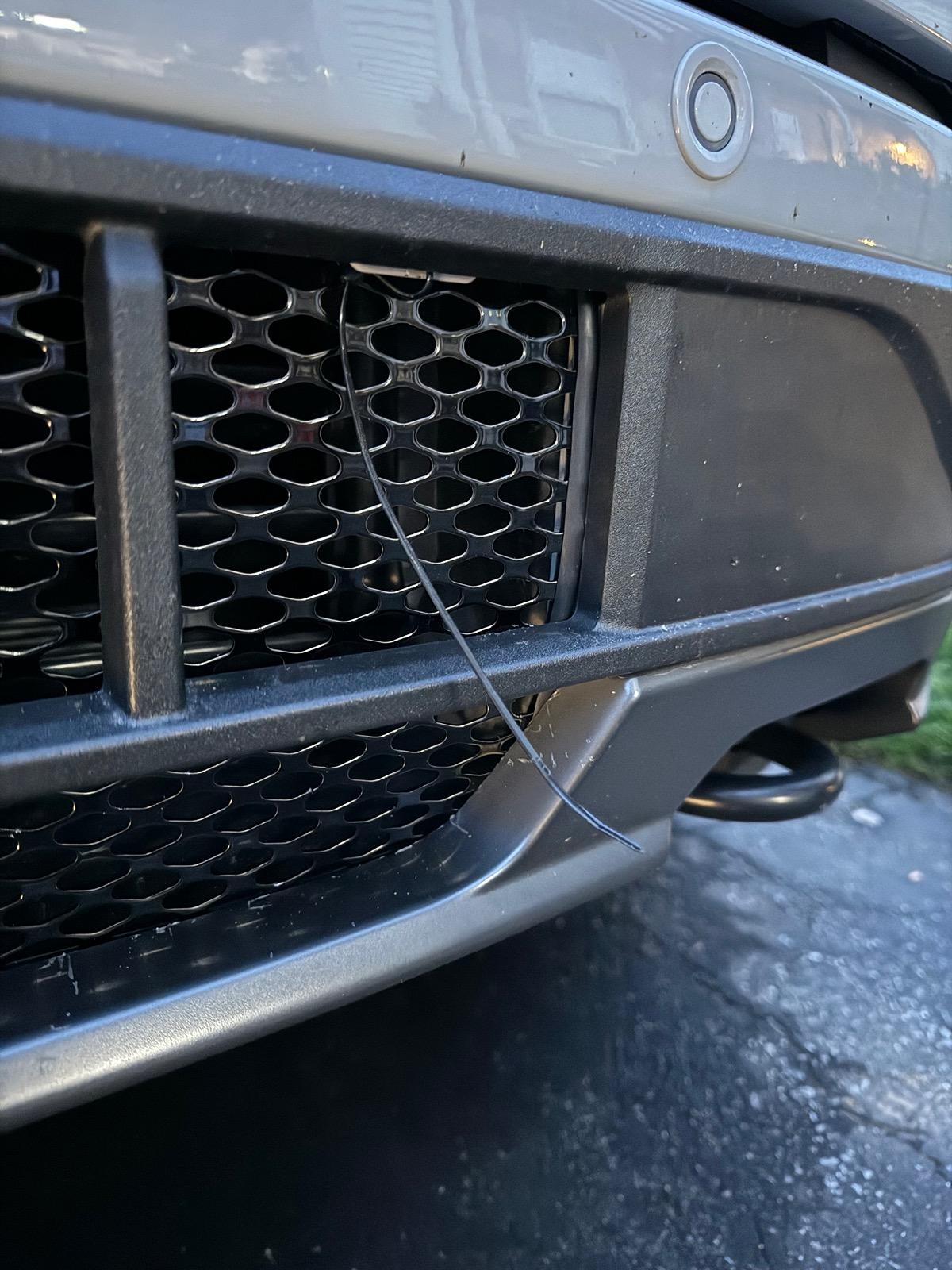 Ford F-150 Lightning Adding grill mesh ahead of active shutters in bumper? IMG_1260