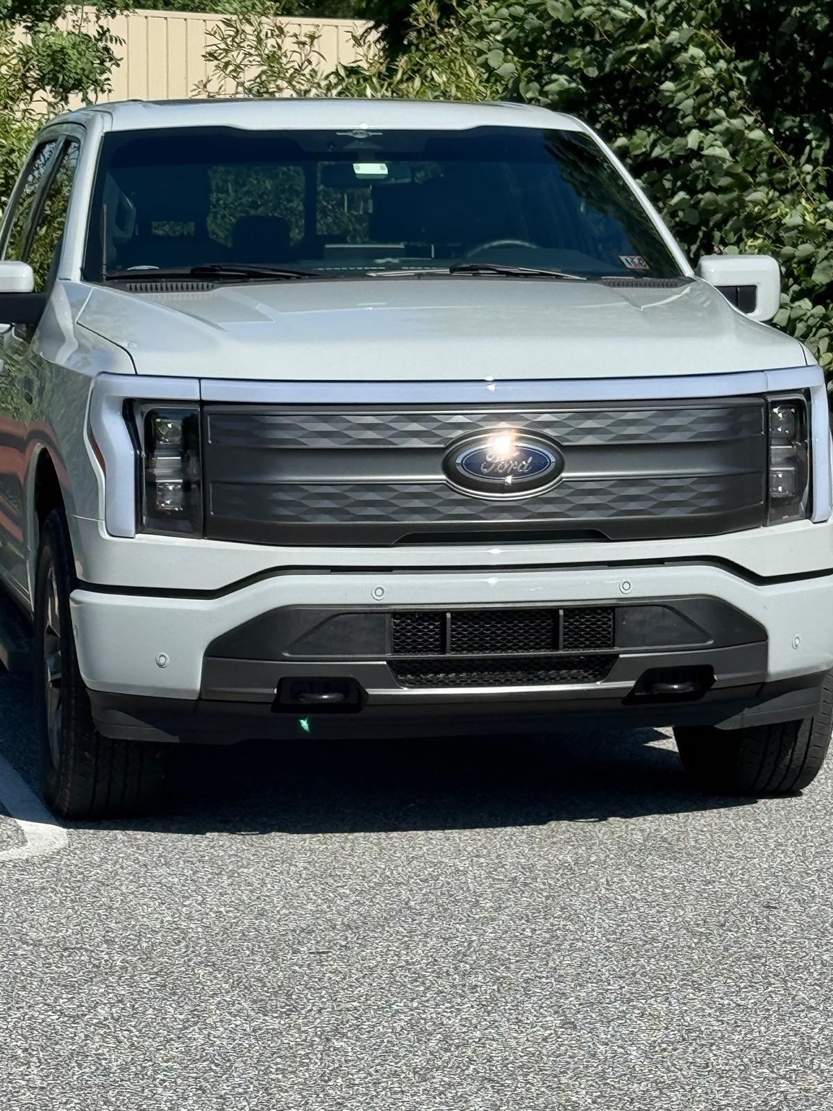 Ford F-150 Lightning Adding grill mesh ahead of active shutters in bumper? IMG_1308