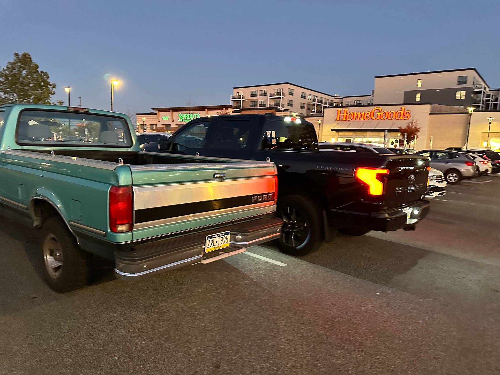 Ford F-150 Lightning Classic long bed and my Lightning IMG_1781