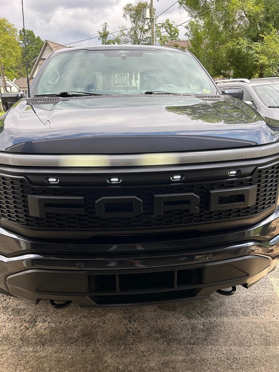 Ford F-150 Lightning "Raptor-ish" Grille Swap IMG_1834