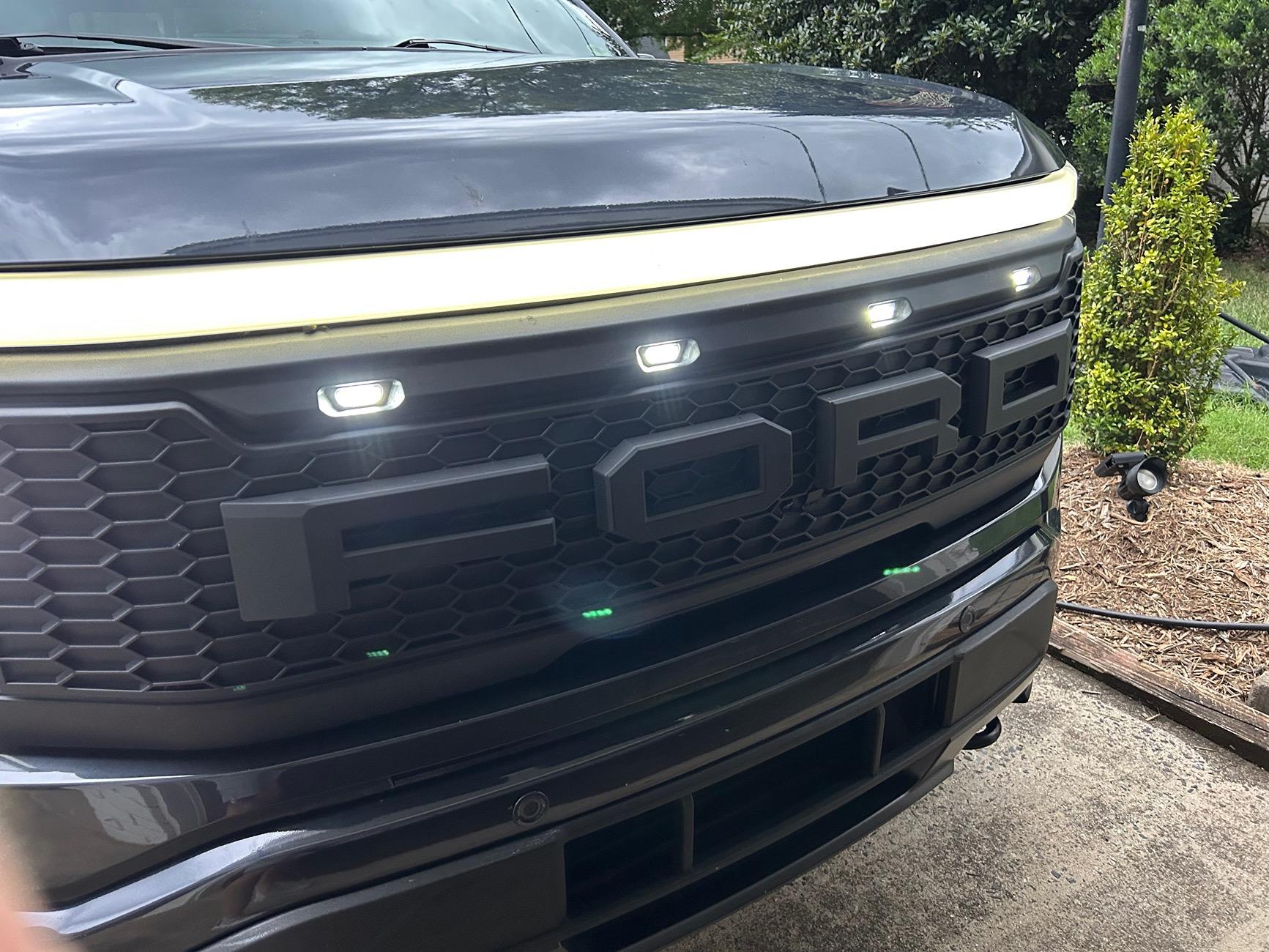 Ford F-150 Lightning "Raptor-ish" Grille Swap IMG_1954