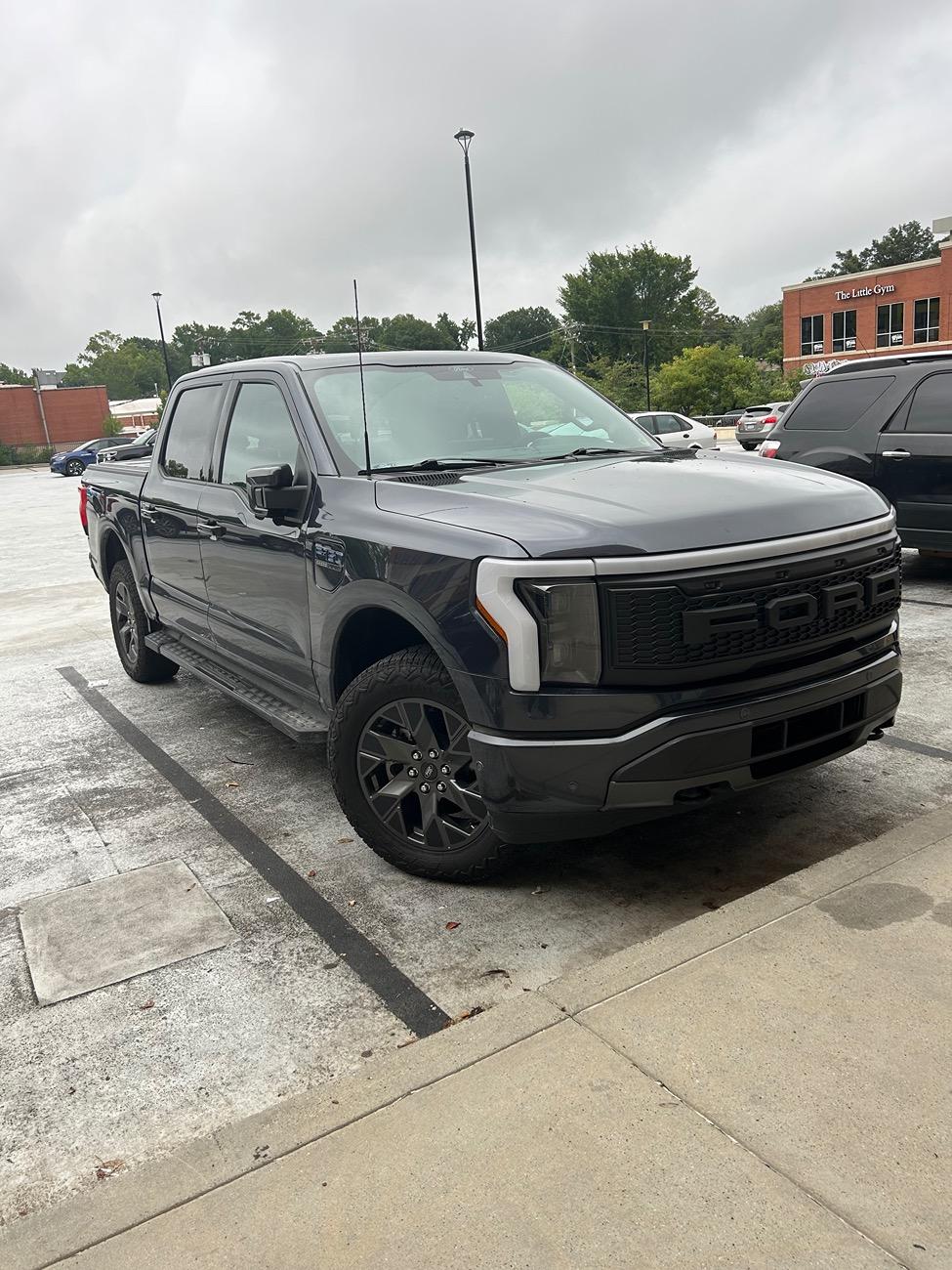 Ford F-150 Lightning "Raptor-ish" Grille Swap IMG_1971