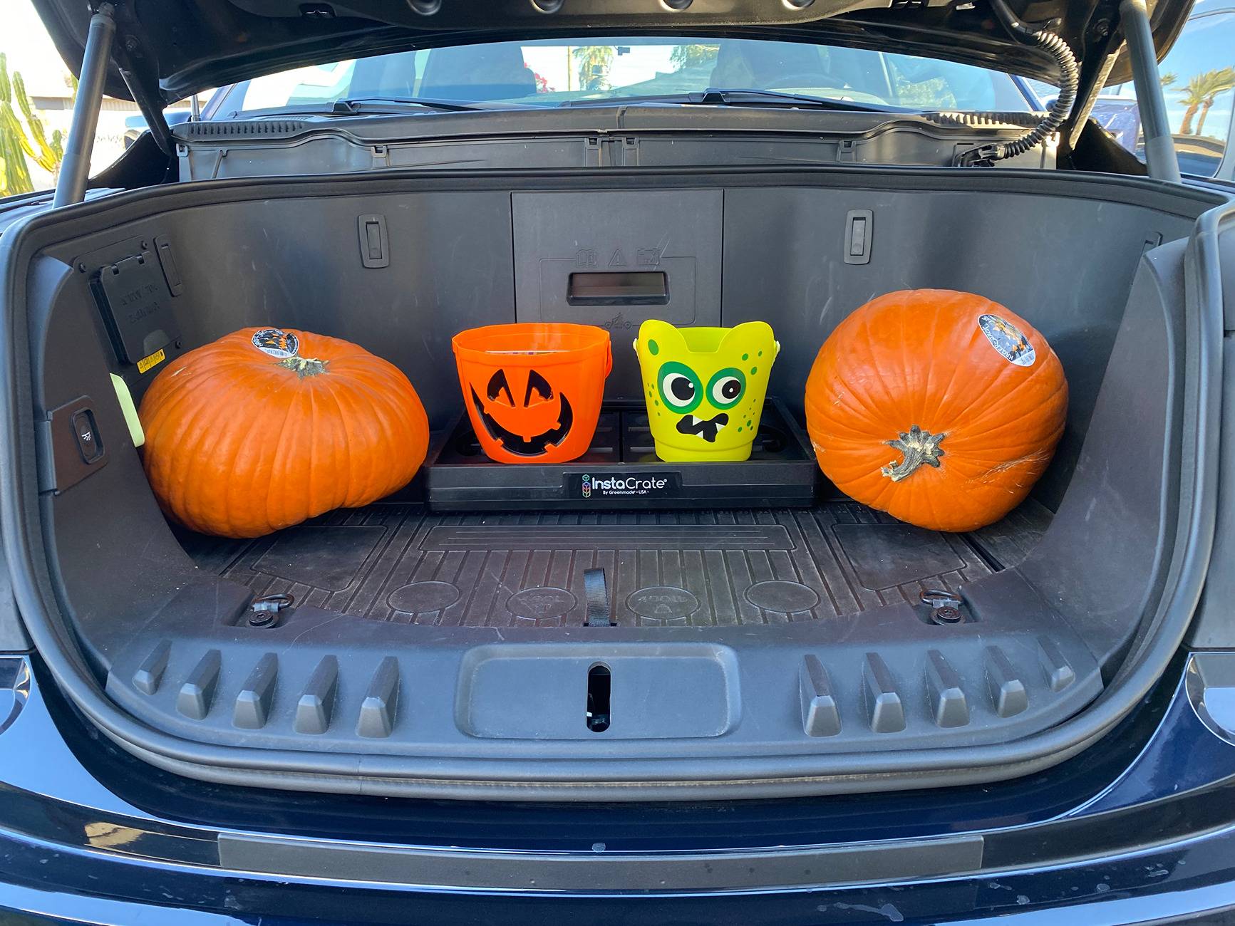 Ford F-150 Lightning Win FREE Lasfit Bed Mat, Halloween Photo Contest Awaits You IMG_1991