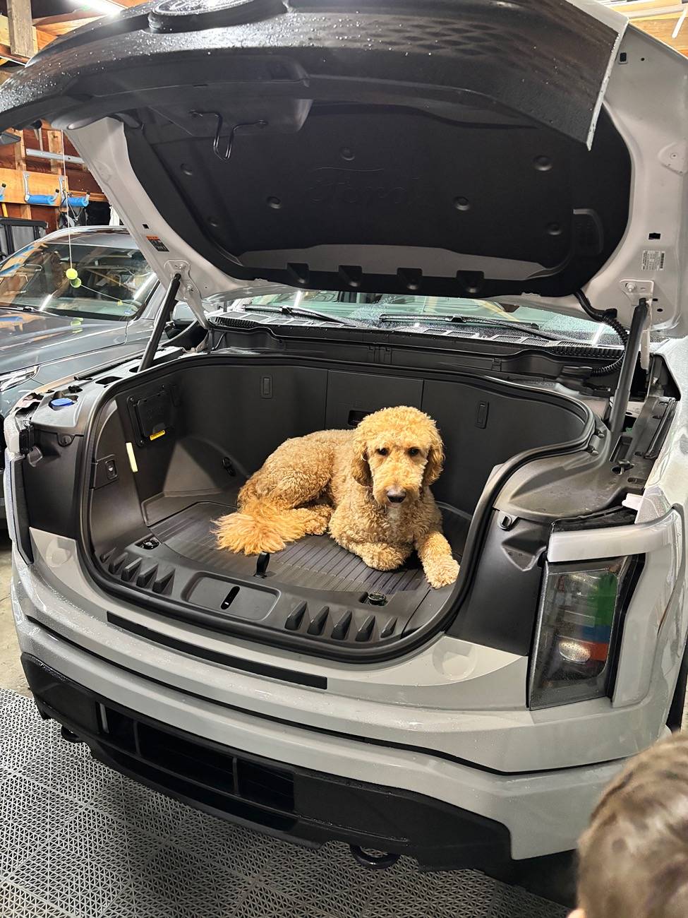 Ford F-150 Lightning Post a pic of your Dog in your new Lightning 😁 IMG_2252