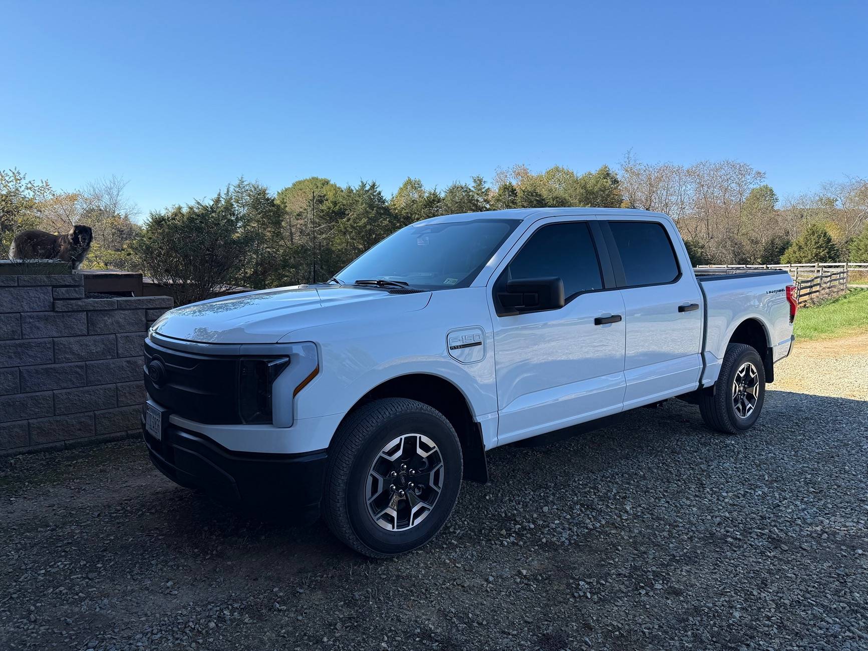 Ford F-150 Lightning 🙋‍♂️ What Did You Do To Your Lightning Today? IMG_2508