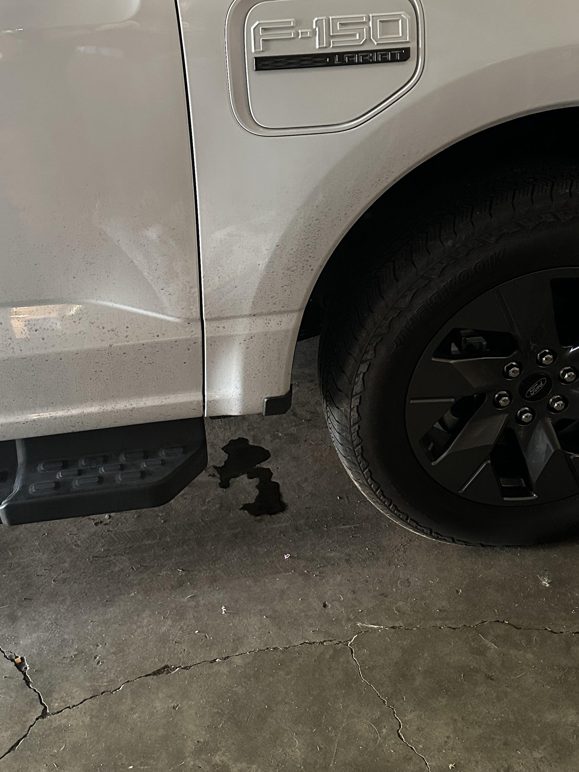 Ford F-150 Lightning Fluid leaking by front passenger tire IMG_2862