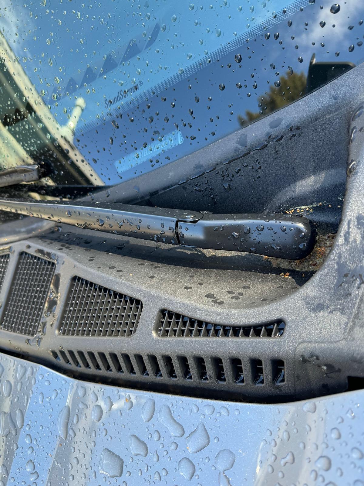 Ford F-150 Lightning Is this water drain area under the windshield supposed to look like it was cut with children's scissors? IMG_4854