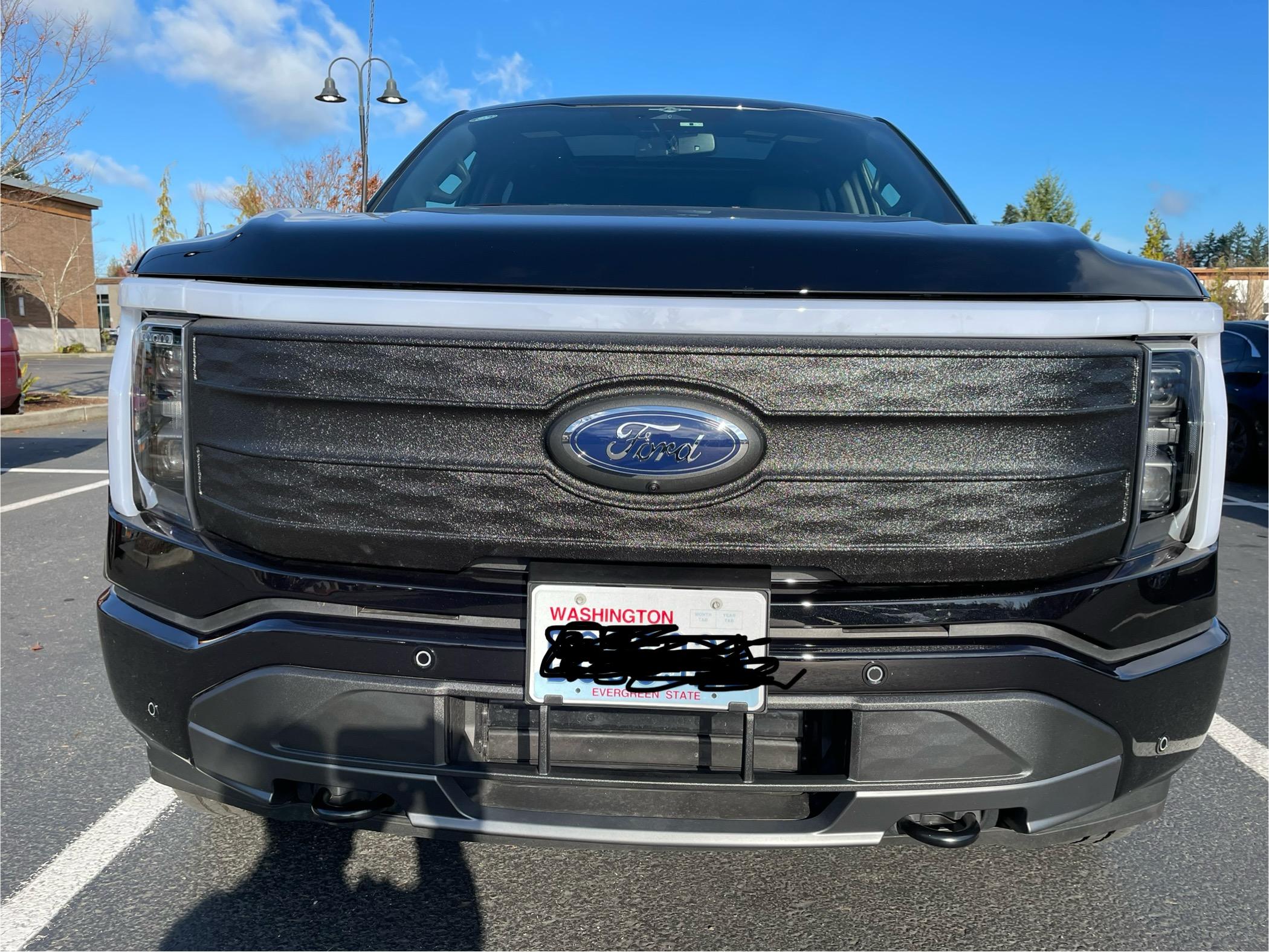 Ford F-150 Lightning Paint chip on front grill (Platinum) IMG_6483