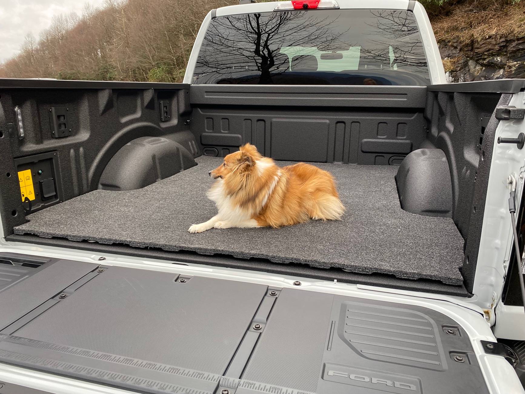 Ford F-150 Lightning Post a pic of your Dog in your new Lightning 😁 IMG_7009