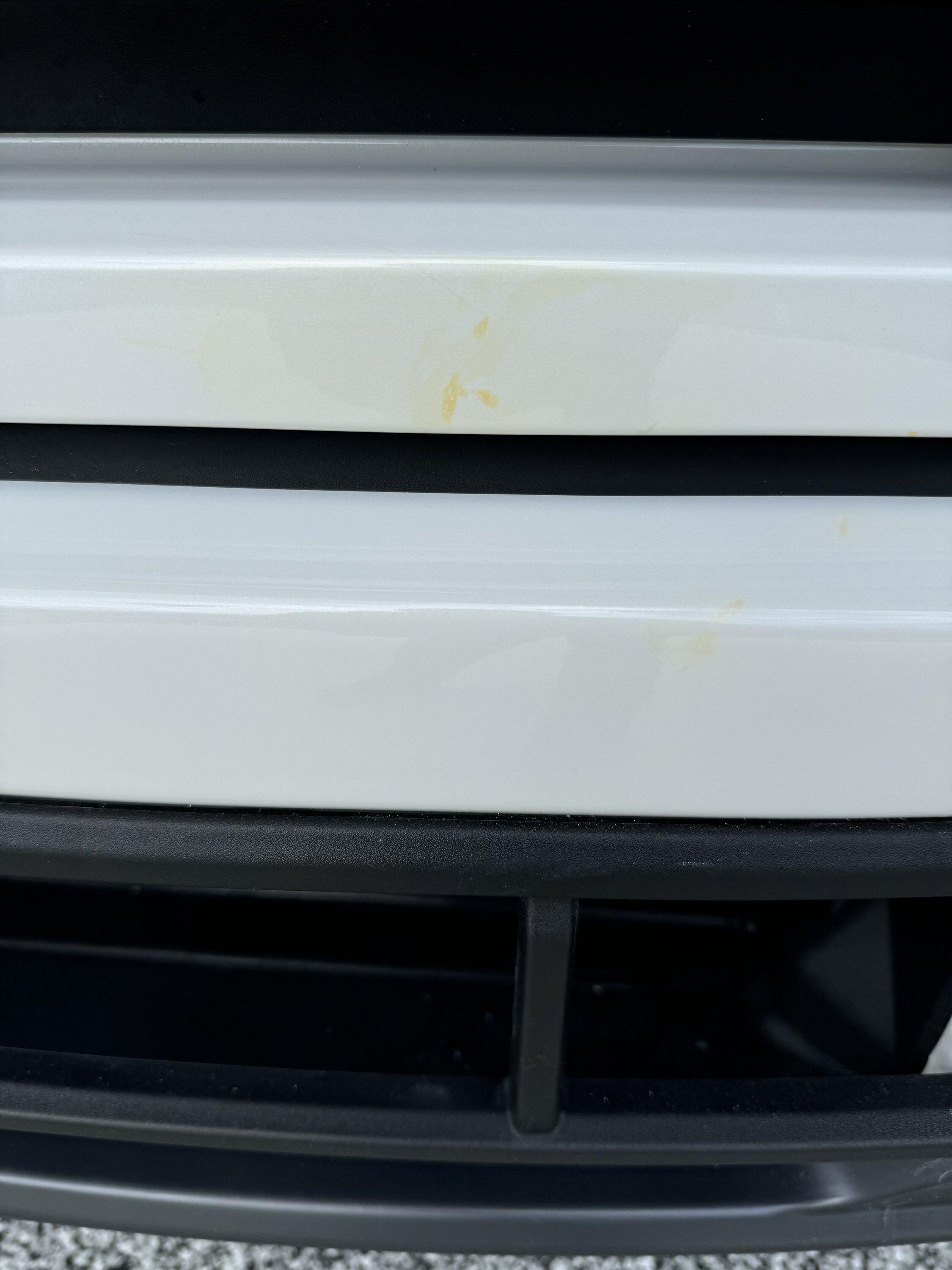 Ford F-150 Lightning Bug stain on front bumper IMG_7570