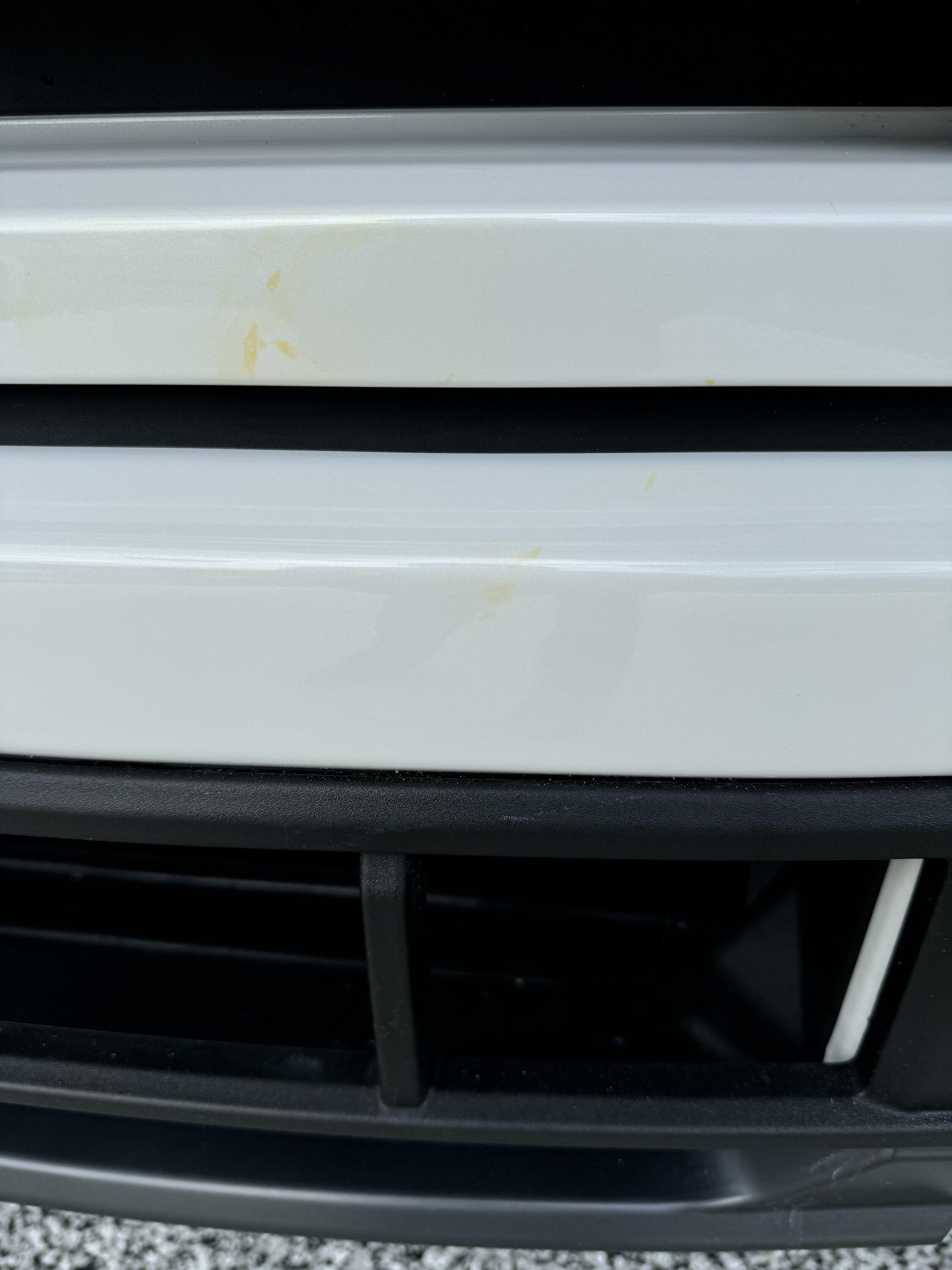 Ford F-150 Lightning Bug stain on front bumper IMG_7571