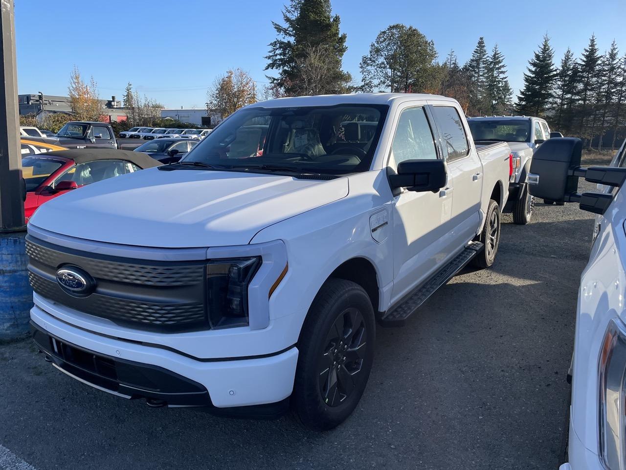 Ford F-150 Lightning ✅ 10/10 Lightning Build Week Group IMG_7695 Lar