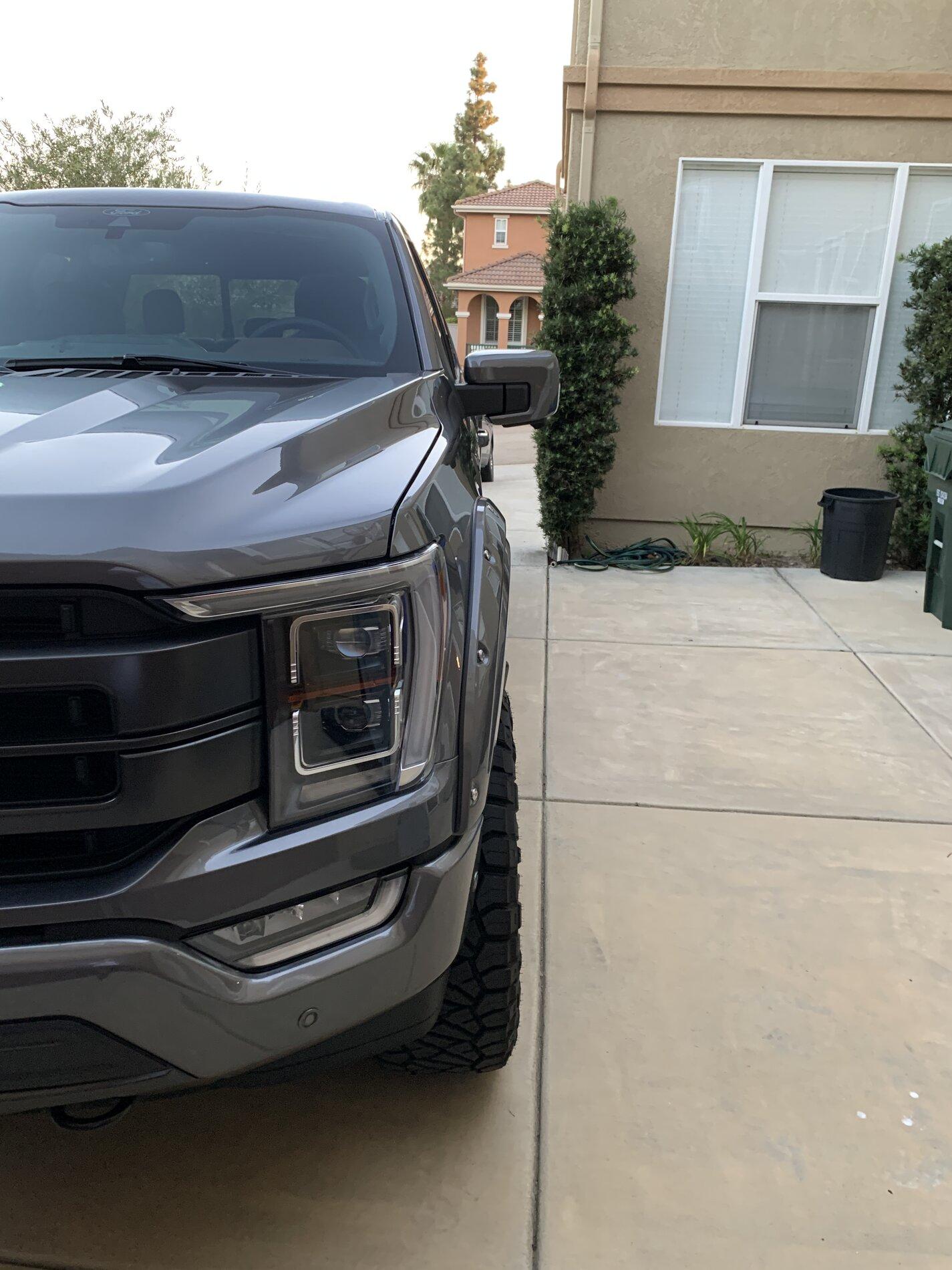 Ford F-150 Lightning Bushwacker Fender Flares? IMG_7991.JPG