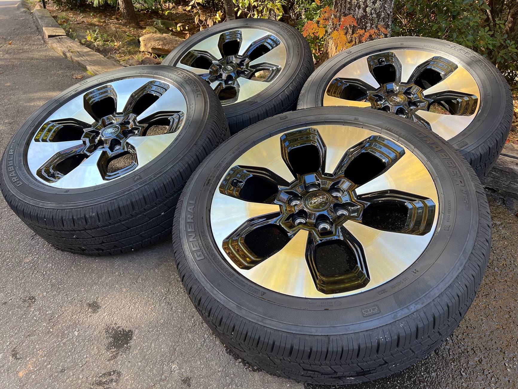 Ford F-150 Lightning Platinum Wheels & Tires (TPMS and lug nuts included) - $1,200 OBO IMG_8656