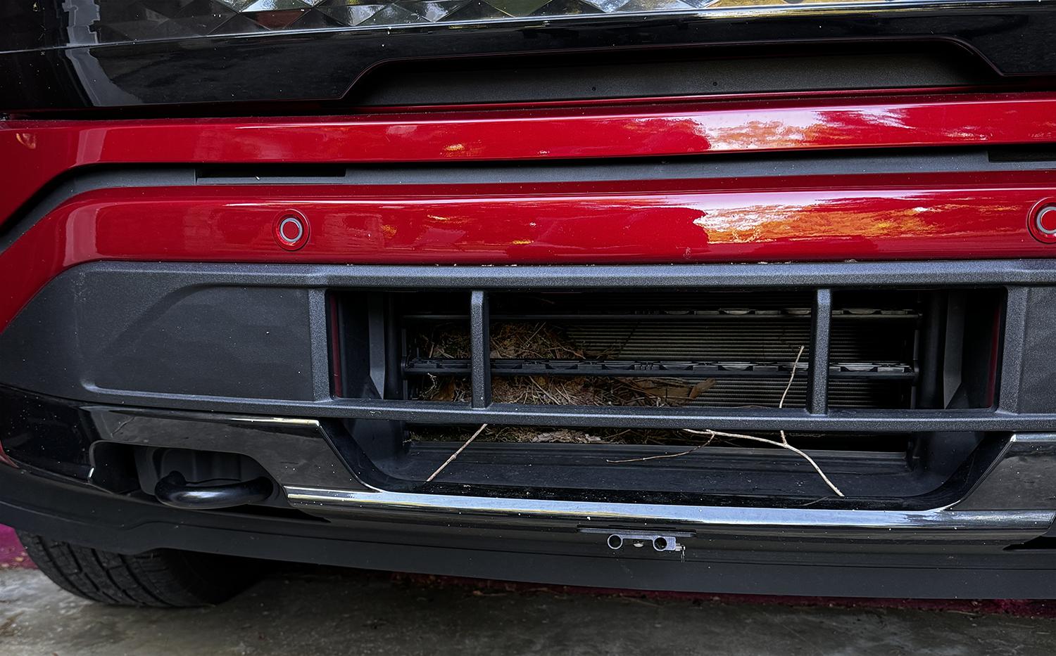 Ford F-150 Lightning Adding grill mesh ahead of active shutters in bumper? IMG_8931s1500