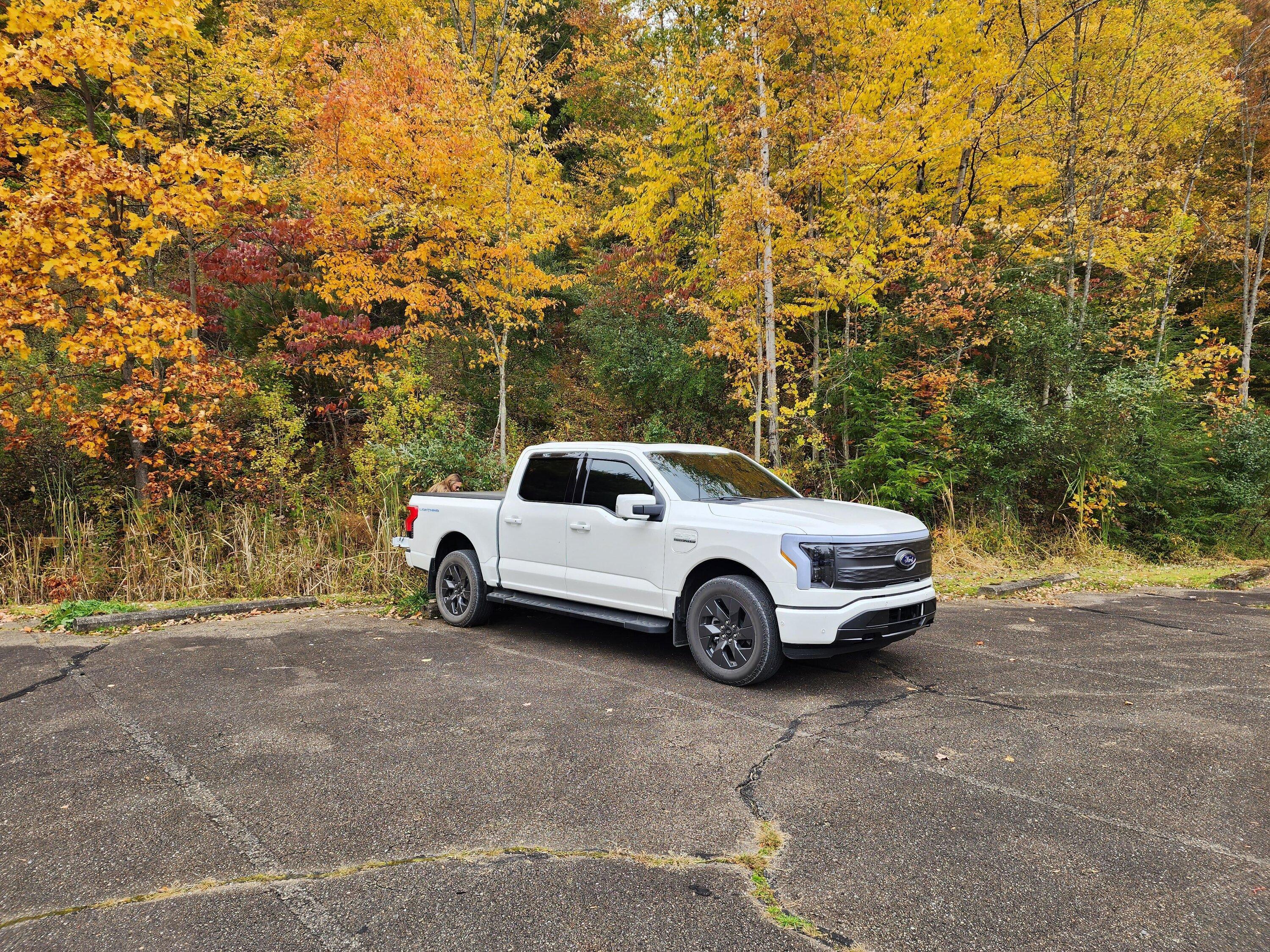 Ford F-150 Lightning STAR WHITE F-150 Lightning Photos & Club iu4ayxqislga1