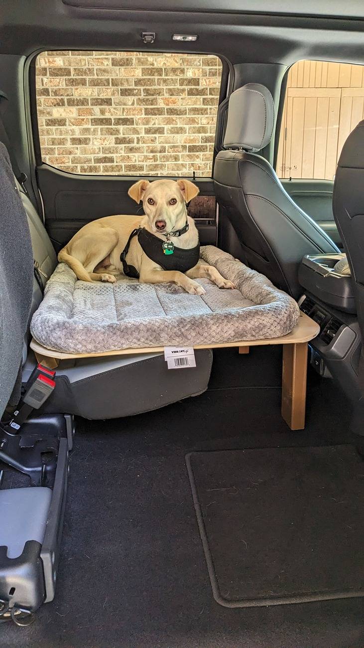 Ford F-150 Lightning Post a pic of your Dog in your new Lightning 😁 izzos travel throne