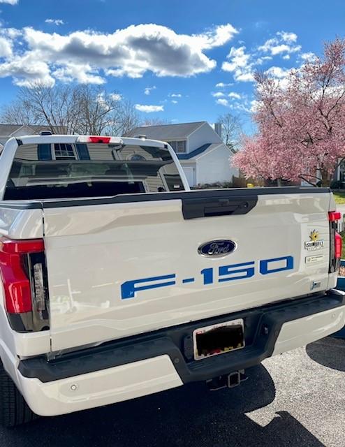 Ford F-150 Lightning 🙋‍♂️ What Did You Do To Your Lightning Today? Lighting Pic2