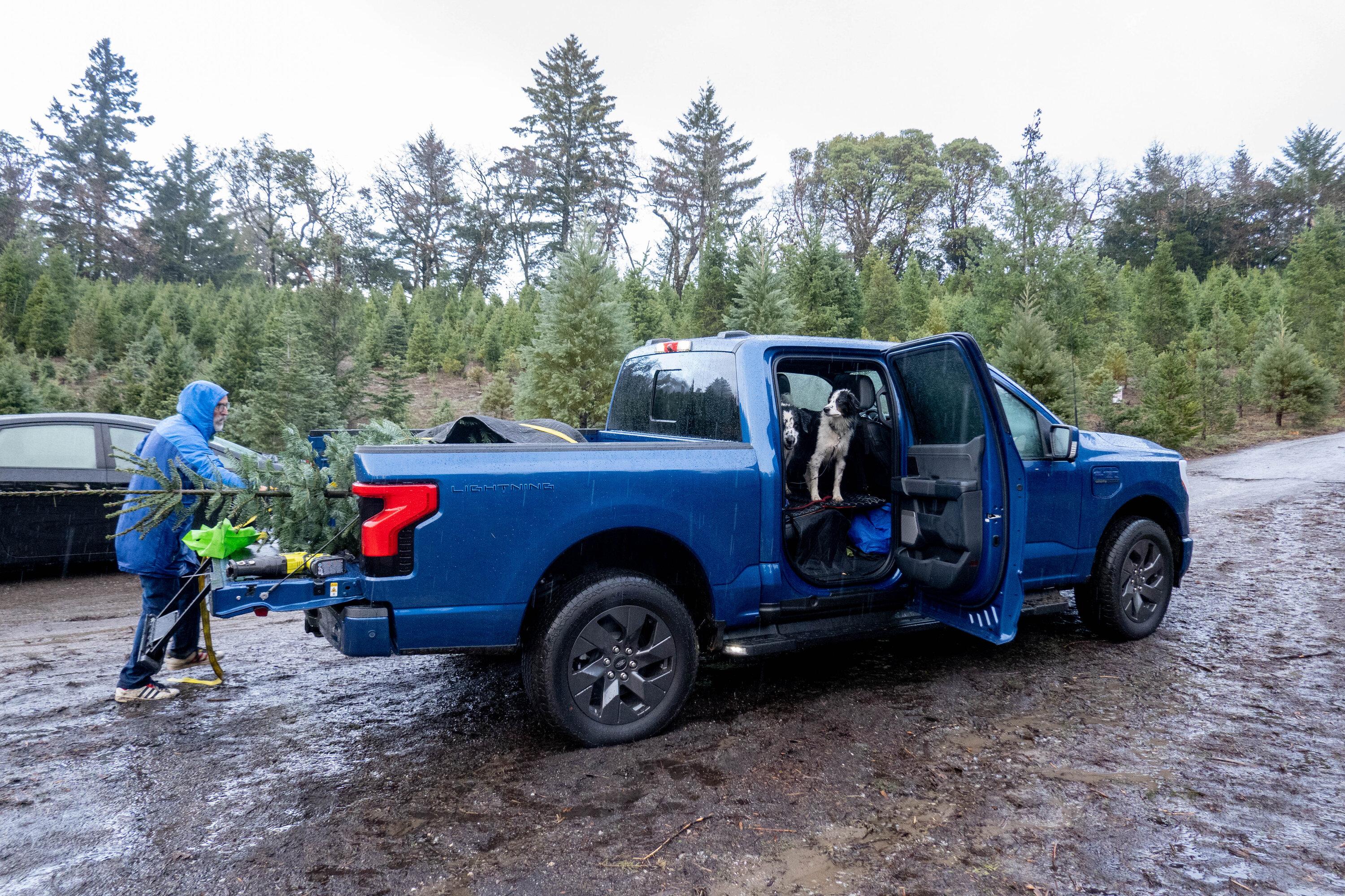 Ford F-150 Lightning 🙋‍♂️ What Did You Do To Your Lightning Today? LIghtning emblem-07644