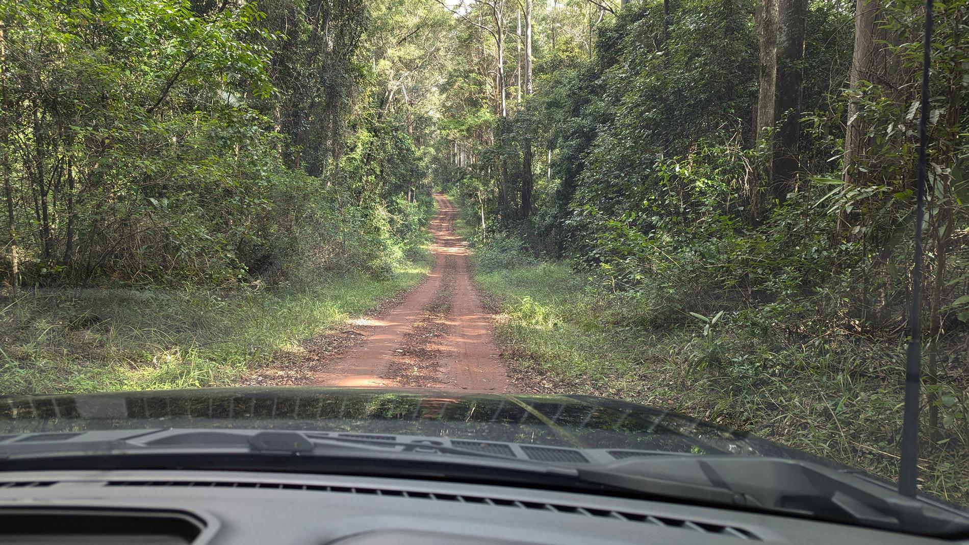 Ford F-150 Lightning Thunderbolt goes to Bellthorpe National Park PXL_20240717_014209598