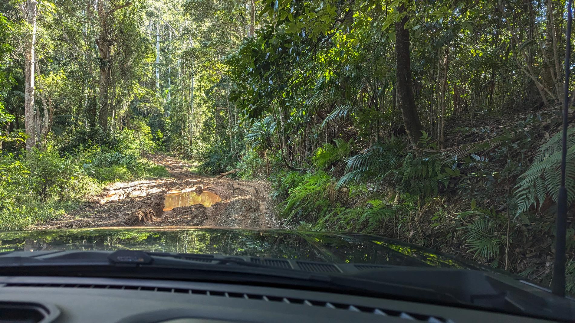 Ford F-150 Lightning Thunderbolt goes to Bellthorpe National Park PXL_20240717_021633954