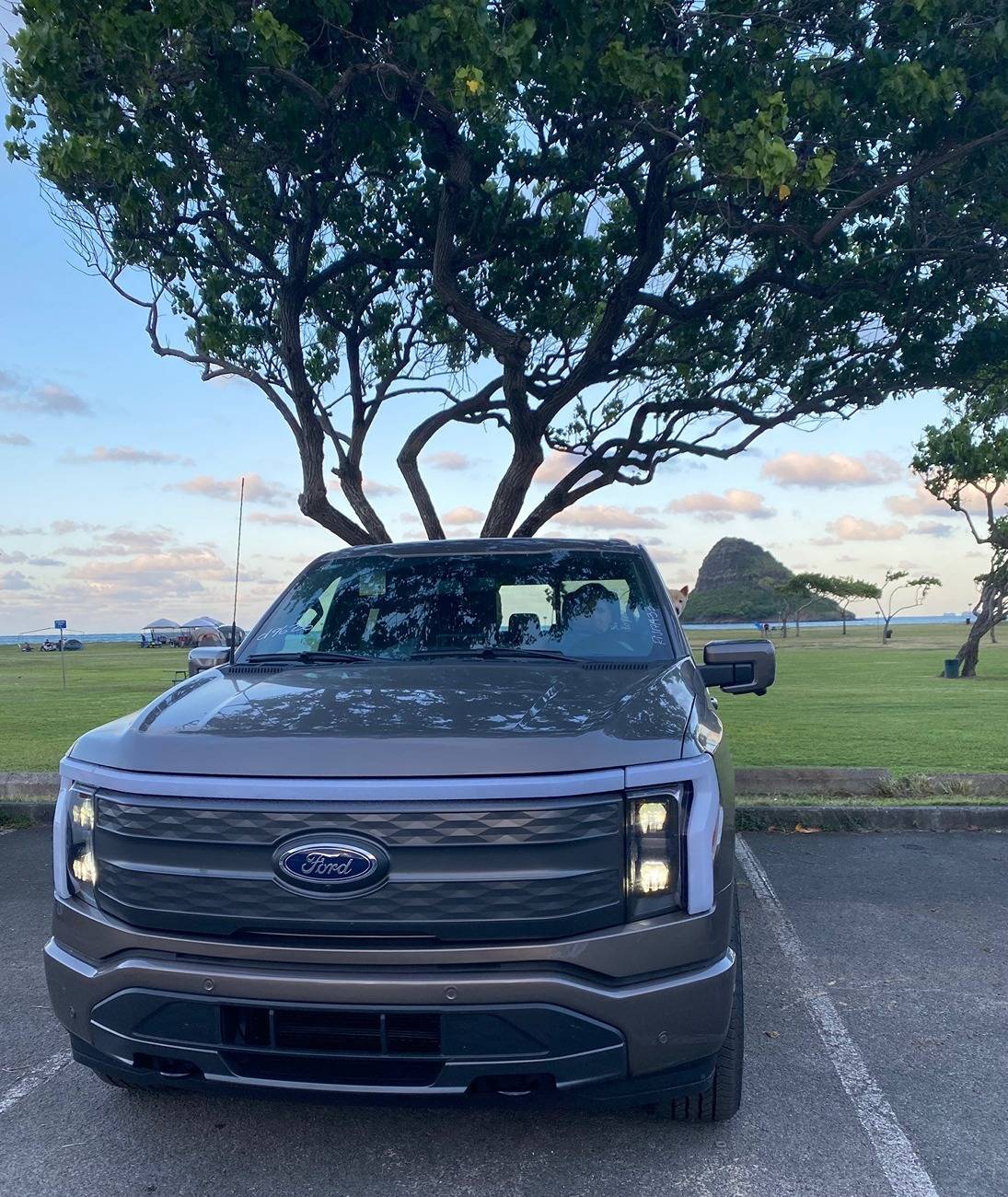 Ford F-150 Lightning Is Anybody Happy With Their Lightning? truck